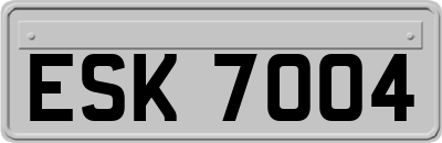 ESK7004
