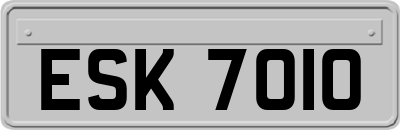 ESK7010