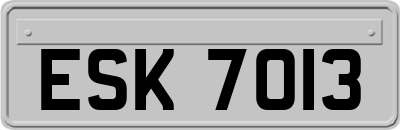 ESK7013