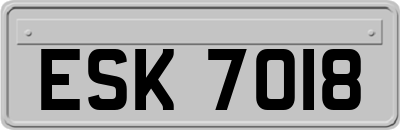 ESK7018