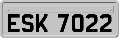ESK7022