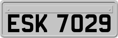 ESK7029