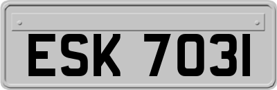 ESK7031