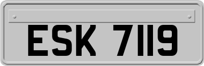 ESK7119