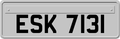 ESK7131