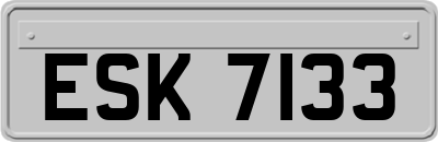 ESK7133