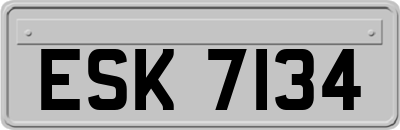 ESK7134