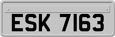 ESK7163