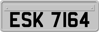 ESK7164