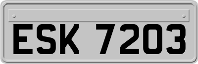ESK7203