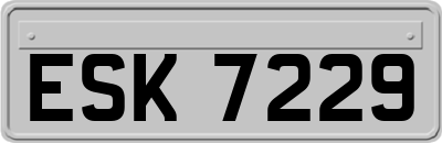 ESK7229