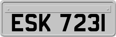 ESK7231