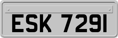 ESK7291