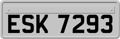 ESK7293