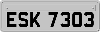 ESK7303