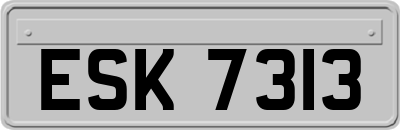 ESK7313