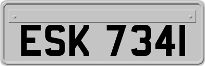 ESK7341