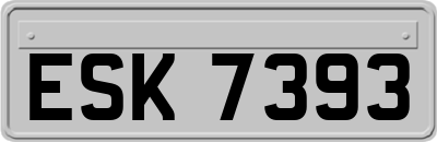 ESK7393