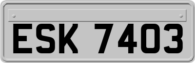ESK7403