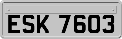 ESK7603