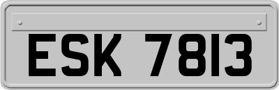 ESK7813
