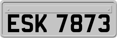 ESK7873