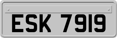 ESK7919