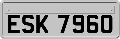 ESK7960