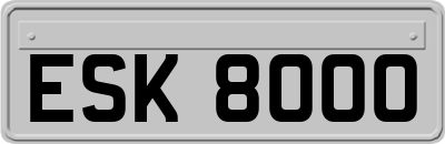 ESK8000
