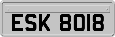 ESK8018