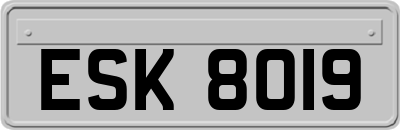 ESK8019