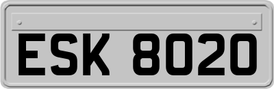 ESK8020