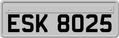 ESK8025