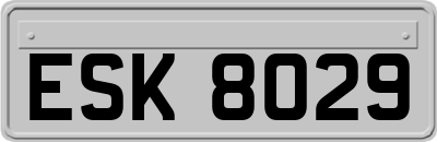 ESK8029