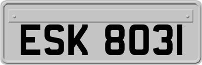 ESK8031