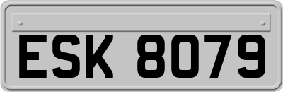 ESK8079