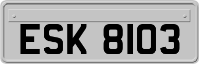 ESK8103