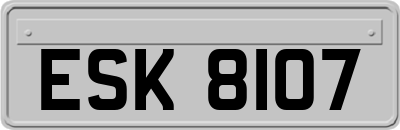 ESK8107