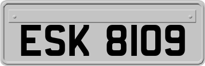 ESK8109