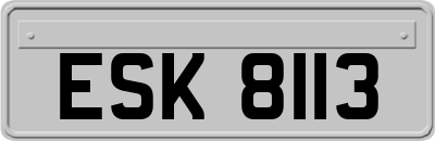 ESK8113