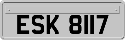 ESK8117
