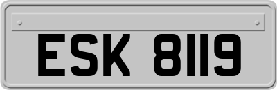ESK8119