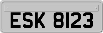 ESK8123
