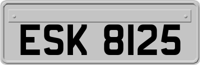 ESK8125
