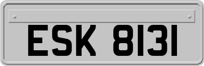ESK8131