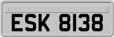 ESK8138