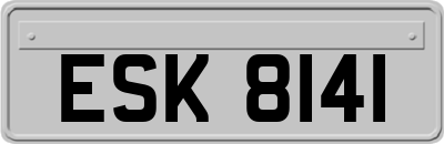 ESK8141