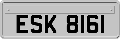 ESK8161