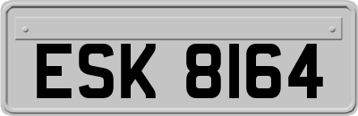 ESK8164