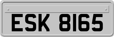 ESK8165